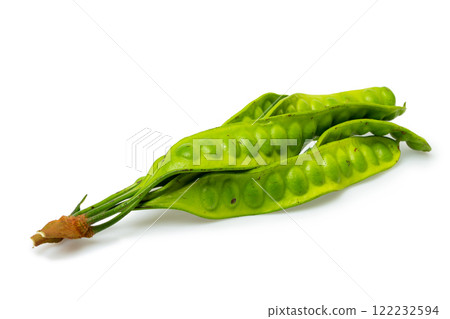 Closeup image of asian bitter green beans known as twisted cluster bean isolated at white background. 122232594