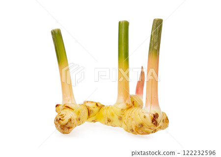 Macro image of thailand ginger - galangal root isolated at white background. 122232596