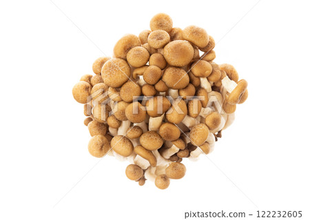 Closeup image of asian shimeji brown mushrooms bunch isolated at white background. 122232605