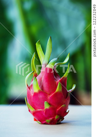 Vertical image of ripe healthy raw dragon fruit at green natural background. Healthy lifestyle. 122232849