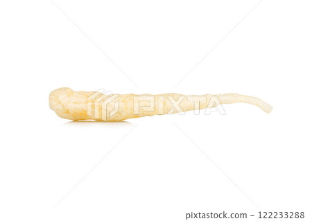 Dried fish maw pile isolated on white background Dried fish maw pile isolated on white background 122233288