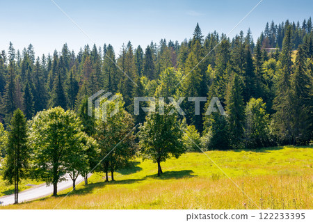 country road through forest. woodland in the valley on a bright forenoon. carpathian mountain landscape. green trees along the path. idyllic alpine summertime in transcarpathia district 122233395