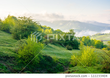 mountain landscape with fog and clouds. meteorology forecast of weather change in ukraine. deciduous woods on the grassy hill. sunny morning in spring. cold air freshness 122233404
