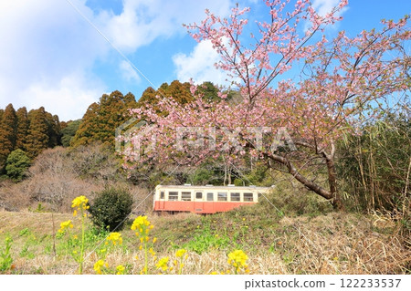 Kominato Railway "Early spring countryside with Kawazu cherry blossoms in bloom" 122233537
