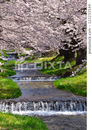 Sakurajo Kanonji River 122233544