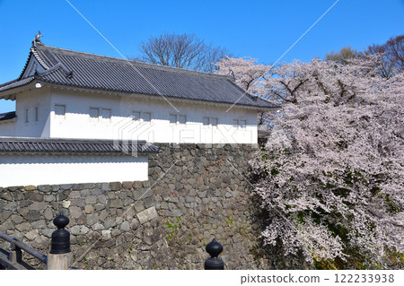 Sakura view Yamagata castle 122233938