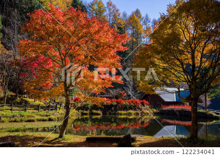 Autumn leaves at Nishi-Ure Pass on the Seseragi Highway (Kiyomi Town, Takayama City, Gifu Prefecture) Autumn leaves at Nishi-Ure Pass on the Seseragi Highway (Kiyomi Town, Takayama City, Gifu Prefecture) 122234041