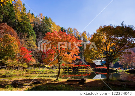 Autumn leaves at Nishi-Ure Pass on the Seseragi Highway (Kiyomi Town, Takayama City, Gifu Prefecture) Autumn leaves at Nishi-Ure Pass on the Seseragi Highway (Kiyomi Town, Takayama City, Gifu Prefecture) 122234043