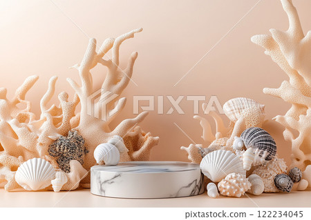 Elegant Seashell Display 122234045