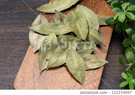Leaves of Laurie 122234097