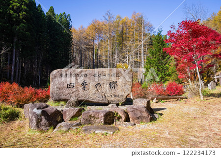 Autumn leaves at Nishi-Ure Pass on the Seseragi Highway (Kiyomi Town, Takayama City, Gifu Prefecture) Autumn leaves at Nishi-Ure Pass on the Seseragi Highway (Kiyomi Town, Takayama City, Gifu Prefecture) 122234173