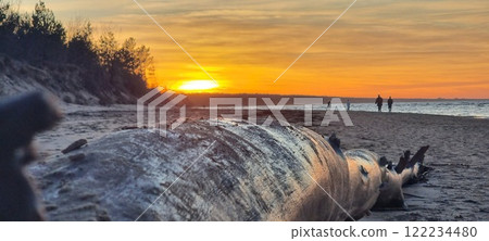 Beautiful sunshine, silhouettes of people, old wood. Beautiful sunshine, silhouettes of people, old wood. 122234480