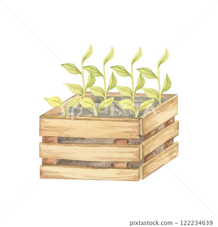 A wooden box filled with vibrant green seedlings is showcased in this watercolor clipart. Perfect for eco-friendly product packaging, gardening designs, or digital illustrations with a nature focus A wooden box filled with vibrant green seedlings is showcased in this watercolor clipart. Perfect for eco-friendly product packaging, gardening designs, or digital illustrations with a nature focus 122234639
