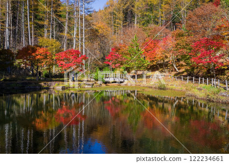 Autumn leaves at Nishi-Ure Pass on the Seseragi Highway (Kiyomi Town, Takayama City, Gifu Prefecture) 122234661