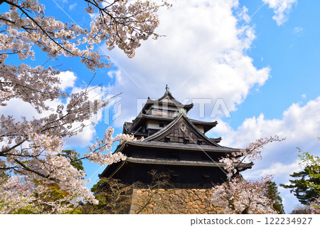 櫻花景松江城 櫻花景松江城 122234927