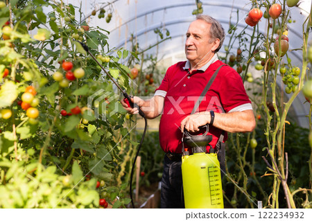 Man gardener spraying trees with garden spray in hothouse Man gardener spraying trees with garden spray in hothouse 122234932