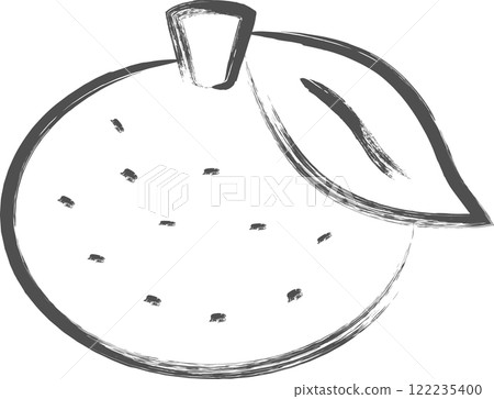 水果畫筆插畫柚子 水果畫筆插畫柚子 122235400