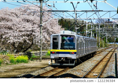 一邊眺望櫻花… 20400系列離開日比谷線，活躍在新的世界。 122236384