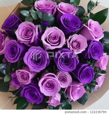 Purple Rose 122236794