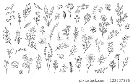 large Set of doodle plants and insects. Hand drawn illustration in monochrome black and white colors. Floral vector collection with flowers and branches on isolated background Outline floral element large Set of doodle plants and insects. Hand drawn illustration in monochrome black and white colors. Floral vector collection with flowers and branches on isolated background Outline floral element 122237586