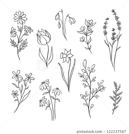 Set of doodle flowers and branches. Hand drawn illustration in monochrome black and white colors. Floral vector collection with plants. Outline floral element for icon. 122237587