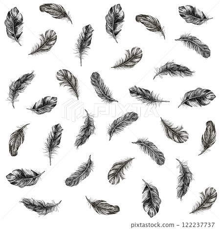 feather, vector, pattern 122237737