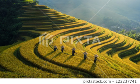 Golden terraced fields stretch across the landscape. Farmers work among the rice paddies under the warm sunlight. A visual celebration of agriculture and nature. Generative AI 122237741