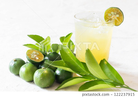 Image of shikuwasa juice Image of shikuwasa juice 122237915