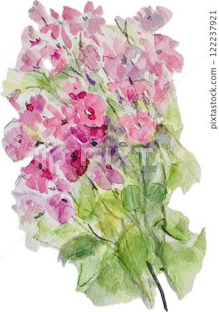 Watercolor seaweed painted by watercolor 122237921