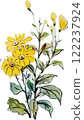 yellow flowers painted in watercolor 122237924