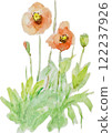Poppy flowers painted in watercolor 122237926