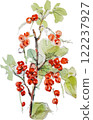 Watercolor painting of Christmas berry 122237927