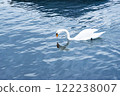 white swan on the lake 122238007