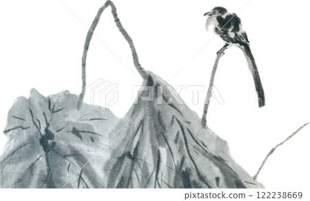 Wagtail on a withered lotus 122238669