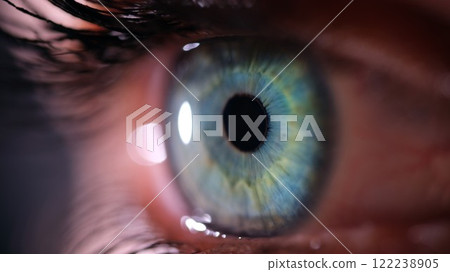 A CloseUp View of an Eye Featuring a Stunningly Vibrant Blue Iris Accompanied by a Deep Black Pupil A CloseUp View of an Eye Featuring a Stunningly Vibrant Blue Iris Accompanied by a Deep Black Pupil 122238905