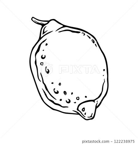Isolated Lemon. Hand drawn vector illustration of single citrus fruit in engrave style for juice label or icon. Outline drawing of lime or citron for tableware decoration or kitchen textile design Isolated Lemon. Hand drawn vector illustration of single citrus fruit in engrave style for juice label or icon. Outline drawing of lime or citron for tableware decoration or kitchen textile design 122238975