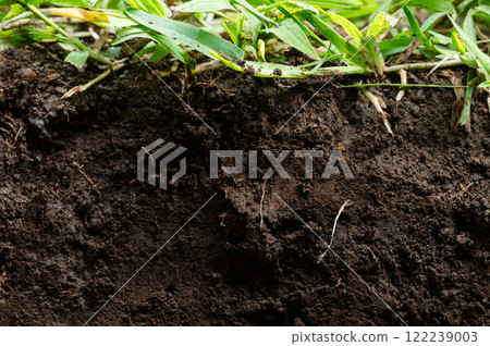 Dig cut in under soil 122239003