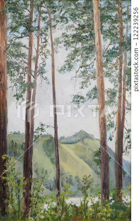 Altay pine trees, oil painting Altay pine trees, oil painting 122239256