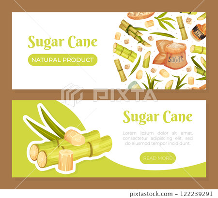 Sugar Cane Banner Design with Stem Plant Vector Template Sugar Cane Banner Design with Stem Plant Vector Template 122239291