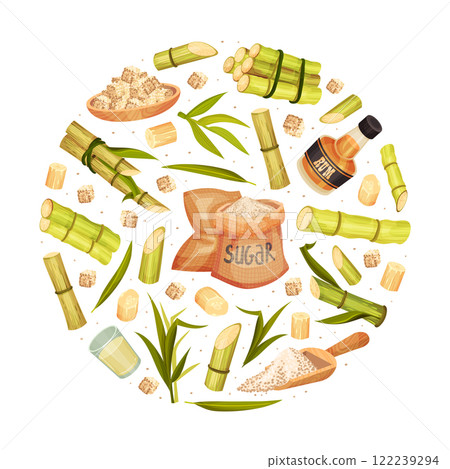 Sugar Cane Round Composition Design with Stem Plant Vector Template 122239294