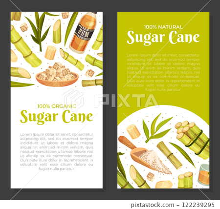 Sugar Cane Banner Design with Stem Plant Vector Template 122239295