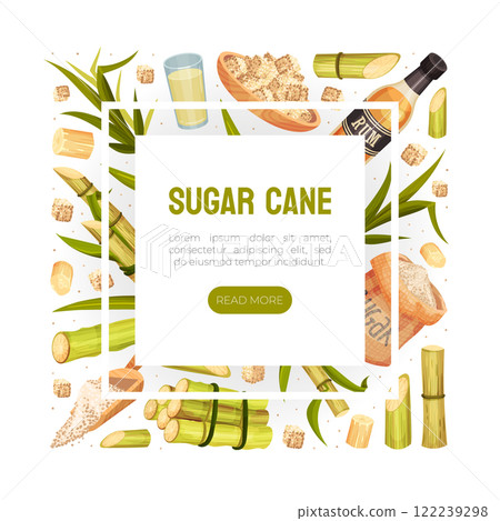 Sugar Cane Banner Design with Stem Plant Vector Template 122239298