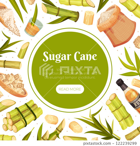 Sugar Cane Banner Design with Stem Plant Vector Template 122239299