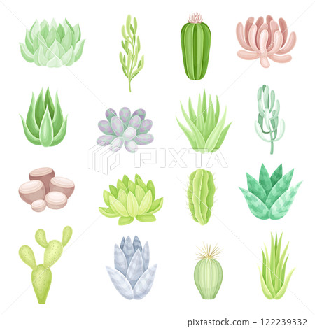 Succulent Fleshy Green Plant and Flora Vector Set 122239332
