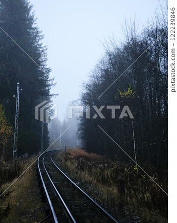 Train tracks disappearing into foggy forest in autumn 122239846