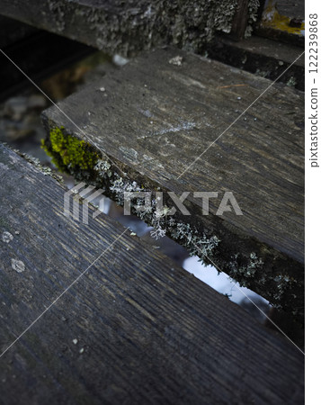Moss growing on wooden planks in chamonix, france 122239868