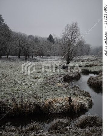 Frozen creek meandering through frosty fields in prague Nature park Smetanka 122239906