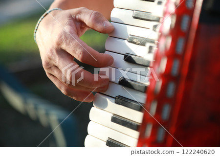 Hands On The Keyboard Of The Accordion 122240620