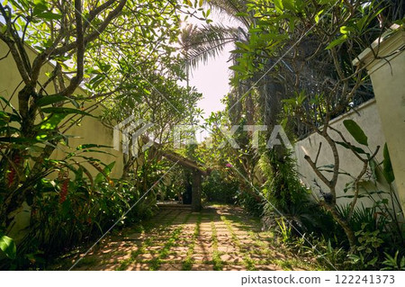 Sunlit garden path with green plants, palm trees, stone tiles. Peaceful botanical setting, ideal for gardening enthusiasts, eco retreats, tropical landscaping, wellness. Natural hideaway. Sunlit garden path with green plants, palm trees, stone tiles. Peaceful botanical setting, ideal for gardening enthusiasts, eco retreats, tropical landscaping, wellness. Natural hideaway. 122241373