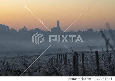 Vineyard landscape in Tabanac, Gironde, at sunrise with winter fog creating warm orange hues Vineyard landscape in Tabanac, Gironde, at sunrise with winter fog creating warm orange hues 122241471